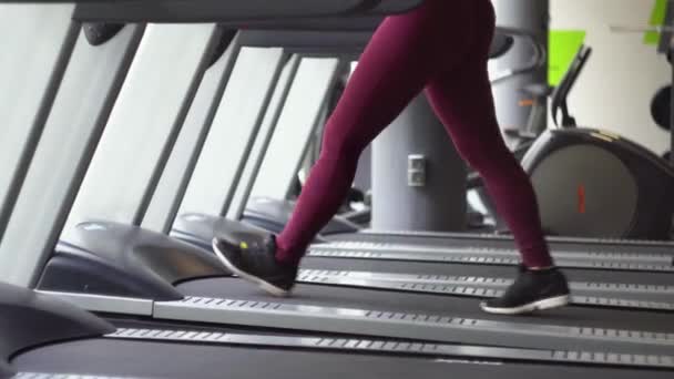 Chica joven corriendo en la cinta de correr en el gimnasio — Vídeos de Stock