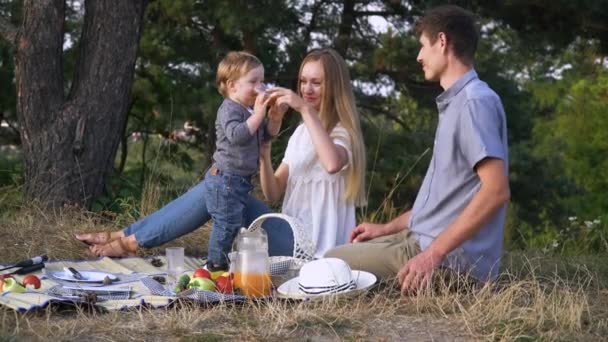 Matka i ojciec z małym synem urządzają piknik w parku. Matka daje dziecku pić sok ze szklanki. Rodzinny wypoczynek na świeżym powietrzu w naturalnym krajobrazie — Wideo stockowe