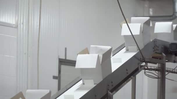 Empty white boxes go on conveyor belt — Stock Video