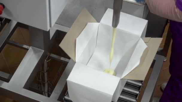 El proceso de envasado de aceite en cajas. Vista de cerca de la máquina de embalaje — Vídeo de stock