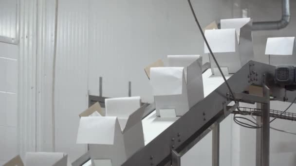 Порожні білі коробки йдуть на конвеєрний пояс — стокове відео