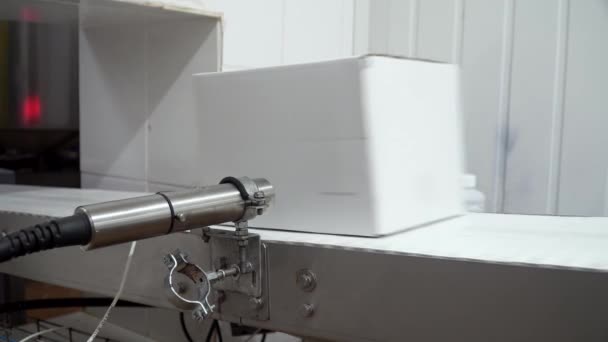 Laser legt das Produktionsdatum auf Karton. Bewegung des Förderbands mit zwei weißen Kartons darauf — Stockvideo