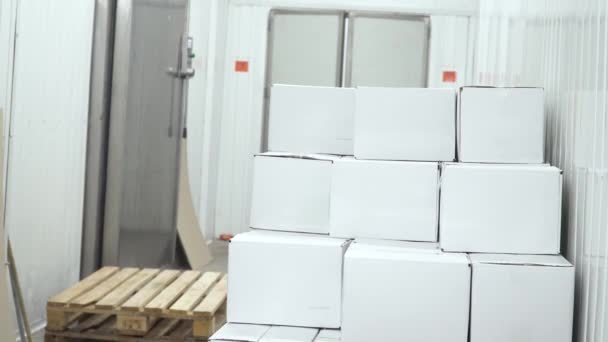 O trabalhador da fábrica carrega as caixas de papelão preenchidas do transportador e as coloca em cima umas das outras — Vídeo de Stock