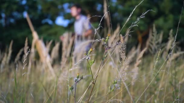 Artista masculino pinta paisaje puesta de sol al aire libre en el paisaje de la naturaleza — Vídeos de Stock