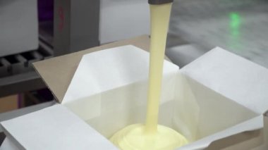 Yağı kutulara koyma süreci. Paketleme makinesinin yakın görüntüsü