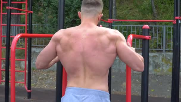 Der junge bärtige, athletische Bodybuilder treibt Sport im Freien. Gewichtheber. Bodybuilding — Stockvideo