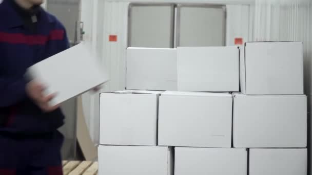 Fabrika işçisi konveyörden doldurulmuş karton kutuları taşıyor ve onları üst üste koyuyor. — Stok video