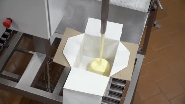 상자에 기름을 담는 과정. 채우는 기계의 확대 사진 — 비디오
