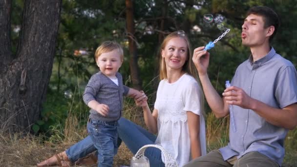 Madre y padre con su hijo pequeño de picnic en el parque. Papá hace burbujas de jabón. El bebé atrapa las burbujas de jabón. El ocio familiar al aire libre en el paisaje natural — Vídeos de Stock