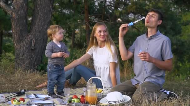 Mother and father with young son having picnic in park. Father makes soap bubbles. Family leisure outdoors in the natural landscape. Slow motion — 비디오