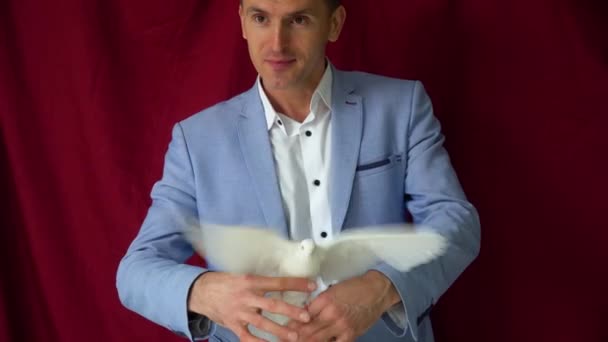 Magicien masculin avec pigeon blanc sur fond vineux — Video