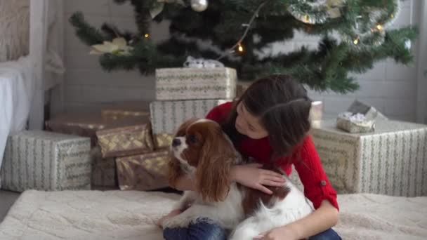 Liten flicka med hund nära julgran — Stockvideo