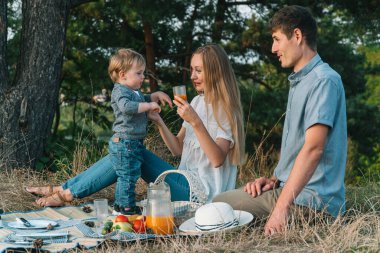 Anne ve baba ve küçük oğlu parkta piknik yapıyorlar. Anne çocuğa bir bardaktan meyve suyu verir. Doğal ortamda aile eğlencesi.