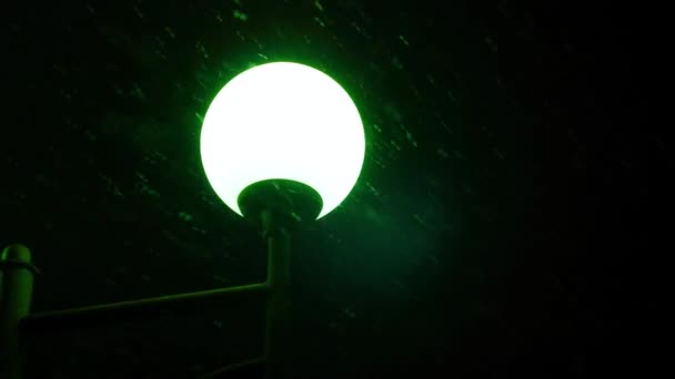 City lantern in falling snow at Christmas night. Night winter street lamp with falling snow — Stok video