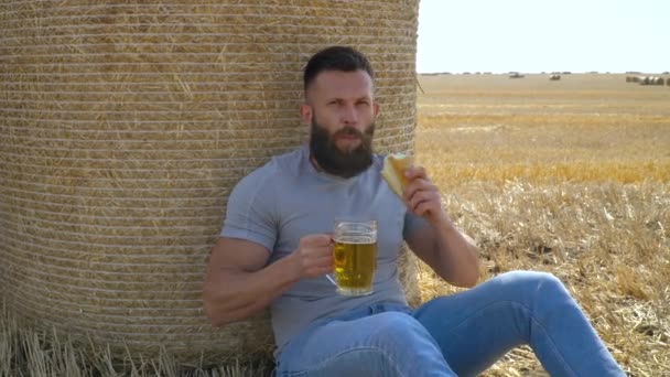 Человек пьет пиво и ест хлеб из стакана на пшеничном поле с тюками. Свежее пиво, солнечное поле — стоковое видео