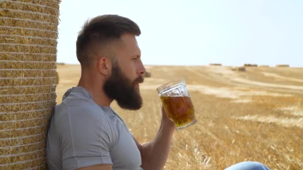 ชายคนหนึ่งดื่มเบียร์จากแก้วบนทุ่งข้าวสาลีที่มีก้อน เบียร์สด ดื่มโซลาร์ฟิลด์ — วีดีโอสต็อก