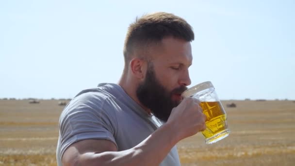 Человек, пьющий пиво из стакана на пшеничном поле с тюками. Свежее пиво, солнечное поле — стоковое видео