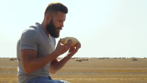 Mannen kysser bröd på ett vetefält med balar. Brödskörd — Stockvideo