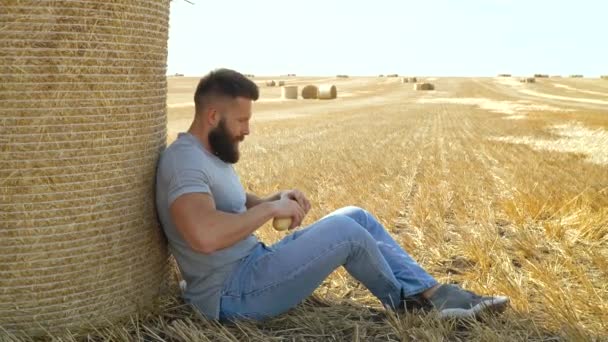 Человек ломает буханку хлеба на пшеничном поле тюками — стоковое видео