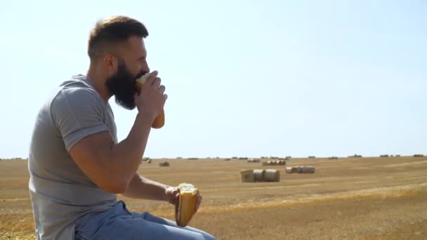 Mann isst Brot auf einem Weizenfeld mit Ballen. Broternte — Stockvideo