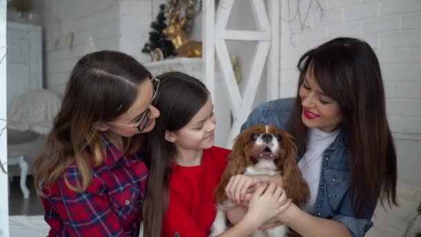 Två kvinnor och liten flicka med hund kramas nära julgran — Stockvideo