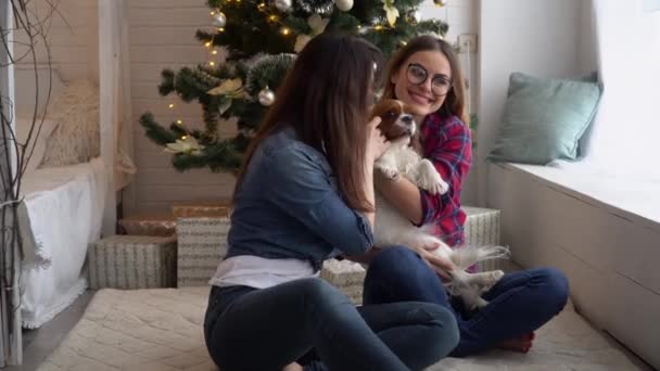 Duas mulheres com cão abraçando perto da árvore de Natal — Vídeo de Stock