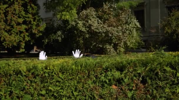 Two mimes on the park hiding behind bushes. Two actors theater on the park shows pantomime — Stok video