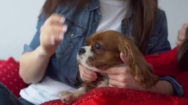 Bir kadın ve küçük bir kız sevimli bir köpekle oynaşıyor.