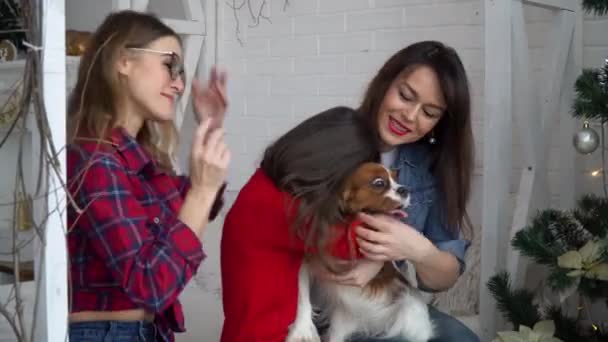 Zwei Frauen und kleines Mädchen mit Hund umarmen sich in der Nähe des Weihnachtsbaums — Stockvideo