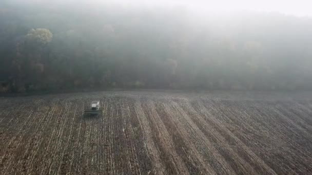 Le operazioni agricole finali del mietitore sul campo in autunno. Veduta aerea della moderna mietitura del grano sul campo — Video Stock