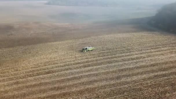 Závěrečné zemědělské operace sklízeče na poli na podzim. Letecký pohled na moderní kombinovanou sklizeň pšenice na poli — Stock video