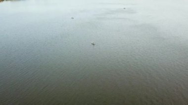 Hava aracı göldeki küçük bir balıkçı teknesiyle üç balıkçının üzerinden uçarken vuruldu. Güzel bir yaz manzarası gölü. Hava görüntüsü. İnsansız hava aracı güzel bir gölün üzerinde