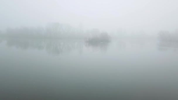 The mysterious lake in the fog. Cinematic footage. Wild birds on the lake — Stock Video