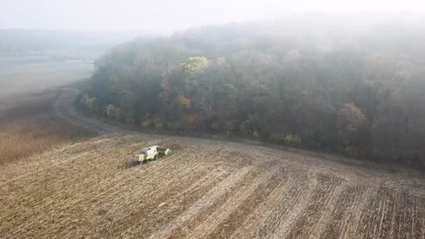 Missouri, Usa, 20 okt 2019: De laatste landbouwactiviteiten van de oogstmachine Claas op het veld in de herfst. Uitzicht vanuit de lucht op moderne combinatieoogst tarwe op het veld — Stockvideo