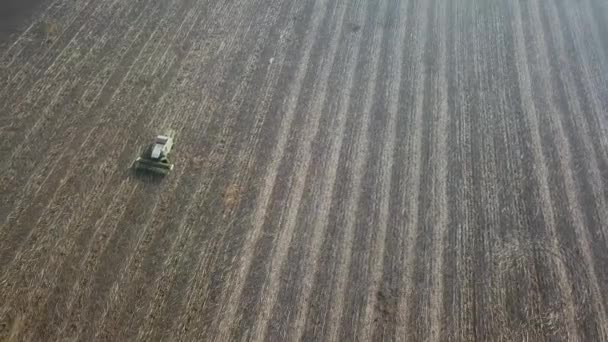 MISSOURI, EE.UU., 20 de octubre de 2019: Las operaciones agrícolas finales de la cosechadora Claas en el campo en el otoño. Vista aérea de la cosechadora moderna de trigo en el campo — Vídeos de Stock