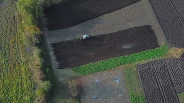 가을에 들판에 있던 오래 된 트랙터의 마지막 농사일의 모습 — 비디오