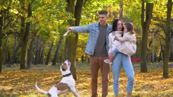 Glückliche Familie mit Hund im Herbstpark. Sturz — Stockvideo