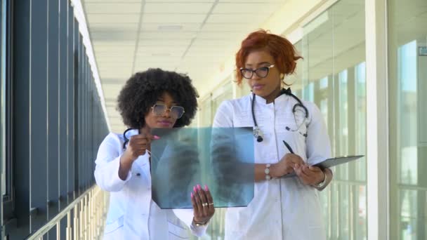 Duas médicas afro-americanas examinam a radiografia dos pulmões, segurando-a nas mãos dentro de casa. Dois especialistas mantêm a imagem transparente do peito nos braços, e cuidadosamente pesquisa-o — Vídeo de Stock