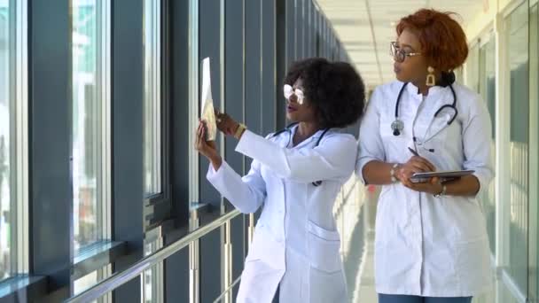Dvě afroameričanky vyšetřují rentgen plic a drží ho v rukou uvnitř. Dva specialisté drží transparentní obraz hrudníku ve zbrani, a pečlivě zkoumá — Stock video
