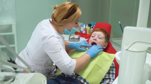 El dentista examina los dientes de leche. Odontología pediátrica — Vídeos de Stock