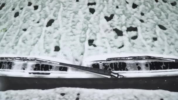 La voiture est recouverte de mousse à laver blanche. Lavage voiture — Video