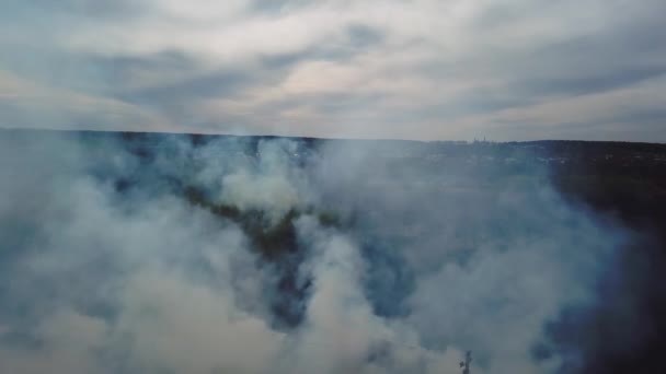Vue aérienne de gros nuages de fumée et de feu sur le terrain. Vue rapprochée des feux de forêt, propagation des flammes de feu de forêt