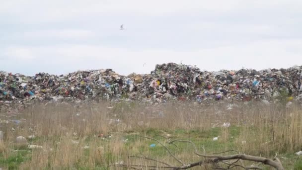 Die riesige Müllhalde am Stadtrand, die ökologische Katastrophe des Planeten — Stockvideo