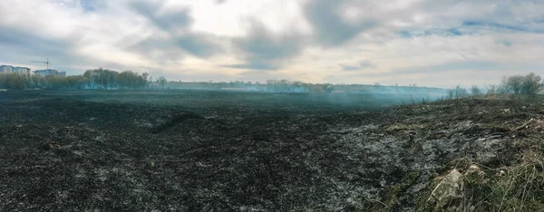 Yangın, yanan ağaçlar, tarlalar, duman. Ateş ağaçları ve orman hayvanlarını yok eder. Avusturalya