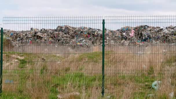Letecký pohled na městské smetiště. Obrovská skládka odpadků. Ptáci krouží nad odpadky. Časová prodleva