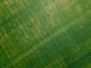 Hava manzaralı endüstriyel tarlalar taze yetişiyor mavi gökyüzünün altında kırsal tarım kırsalında.