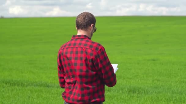 Farmář kontroluje růst pšenice. Čerstvě zelené pšeničné pole. Digitální tablet v mužské ruce. Zadní pohled — Stock video
