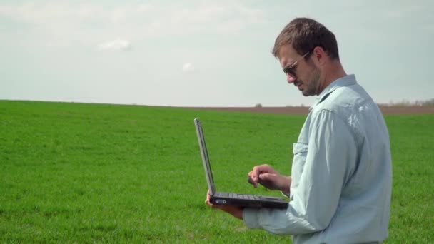 Farmer z laptopem kontroluje wzrost pszenicy. Świeże zielone pole pszenicy — Wideo stockowe