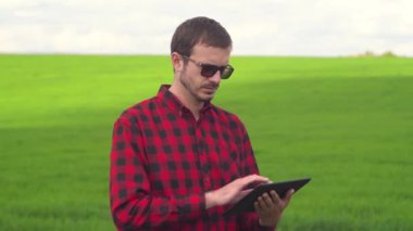 Çiftçi buğday büyümesini inceliyor. Taze yeşil buğday tarlası