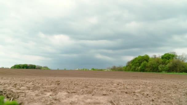 作物を播種する前に土壌。経過時間 — ストック動画